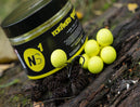 CCMOORE Northern Specials Pop Ups 14mm